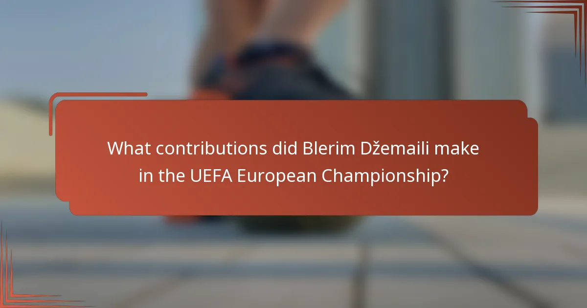 What contributions did Blerim Džemaili make in the UEFA European Championship?